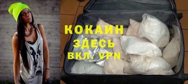 гидра Алексеевка