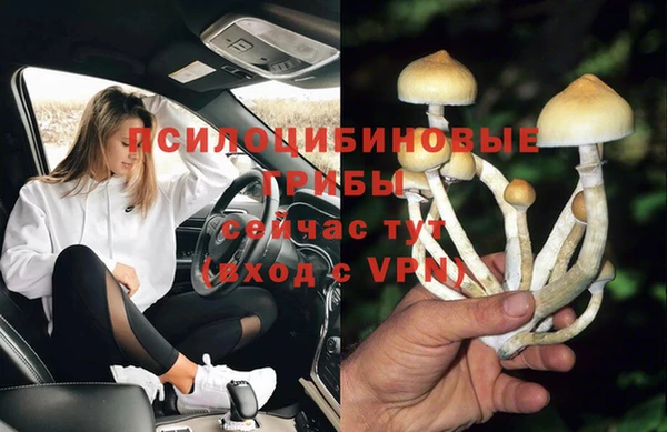 сатива Алексин
