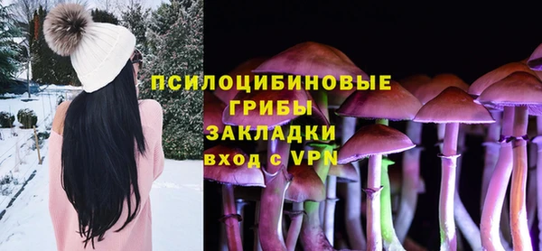 крисы Заводоуковск