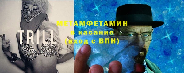 гидра Алексеевка