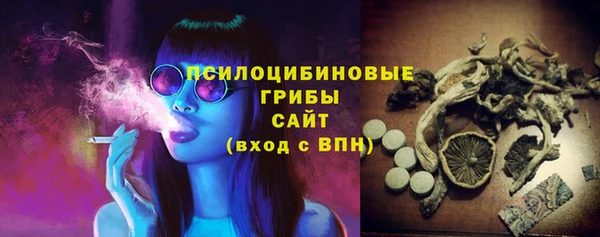 сатива Алексин