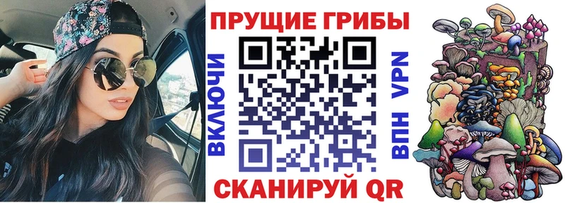 kraken tor  Лагань  Псилоцибиновые грибы Psilocybe  как найти  
